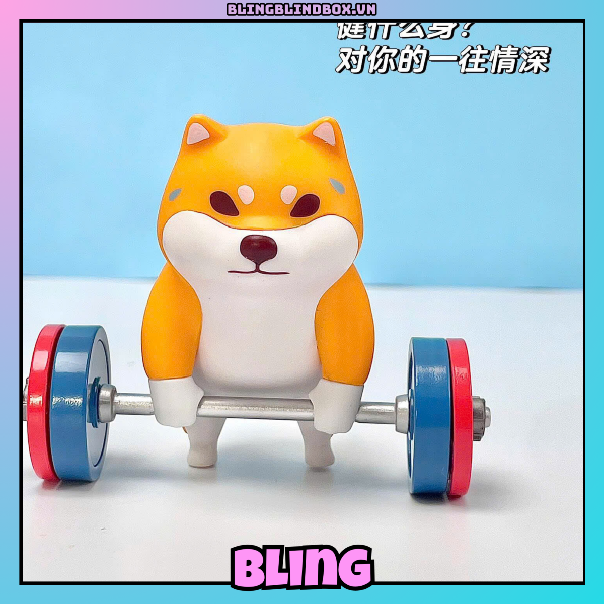 Kuraya Shiba Tourshiba 2nd